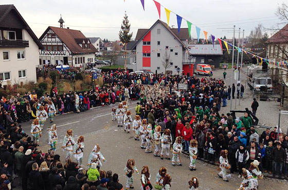 Jubiläumsumzug 19.01.2014